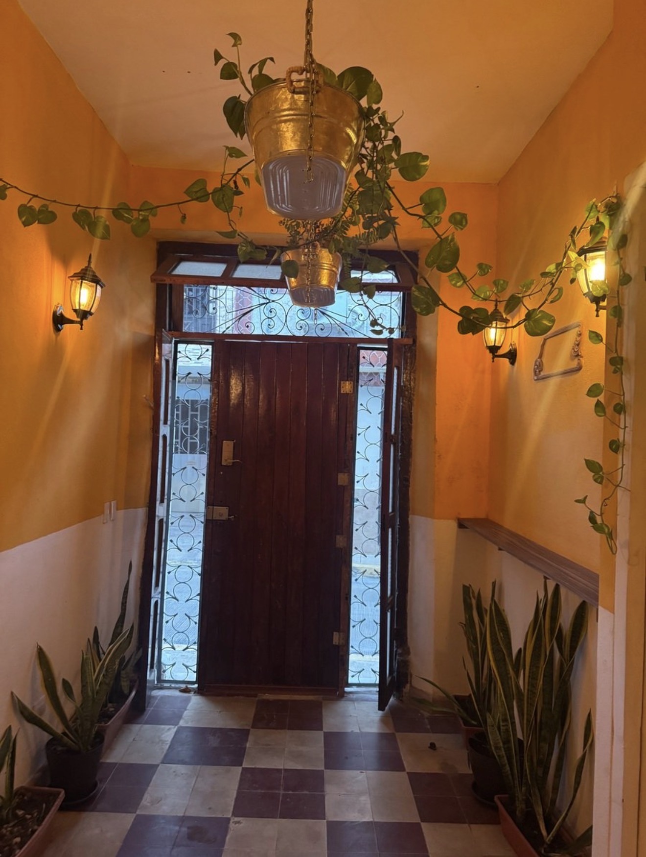Entrée de la maison, plantes suspendues, Casa Pitchounet à Campeche